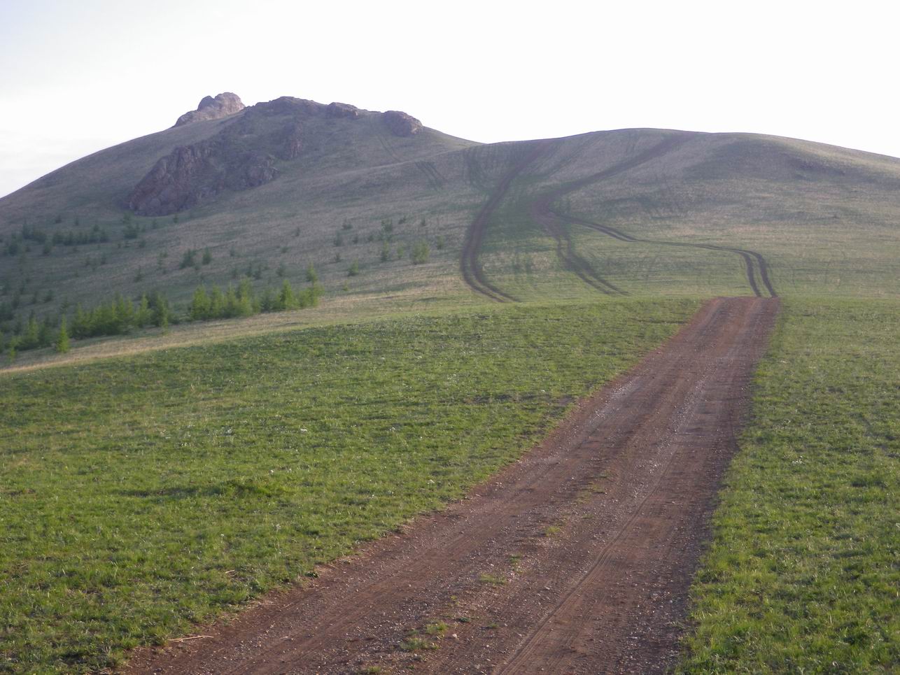 调整大小 IMGP0635.JPG