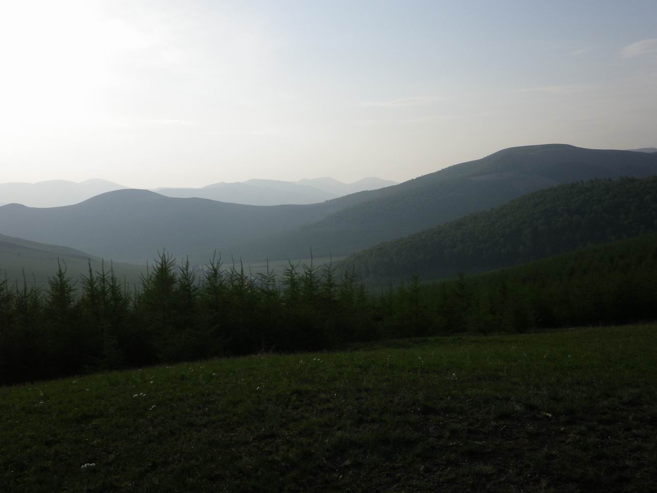 调整大小 IMGP0649.JPG