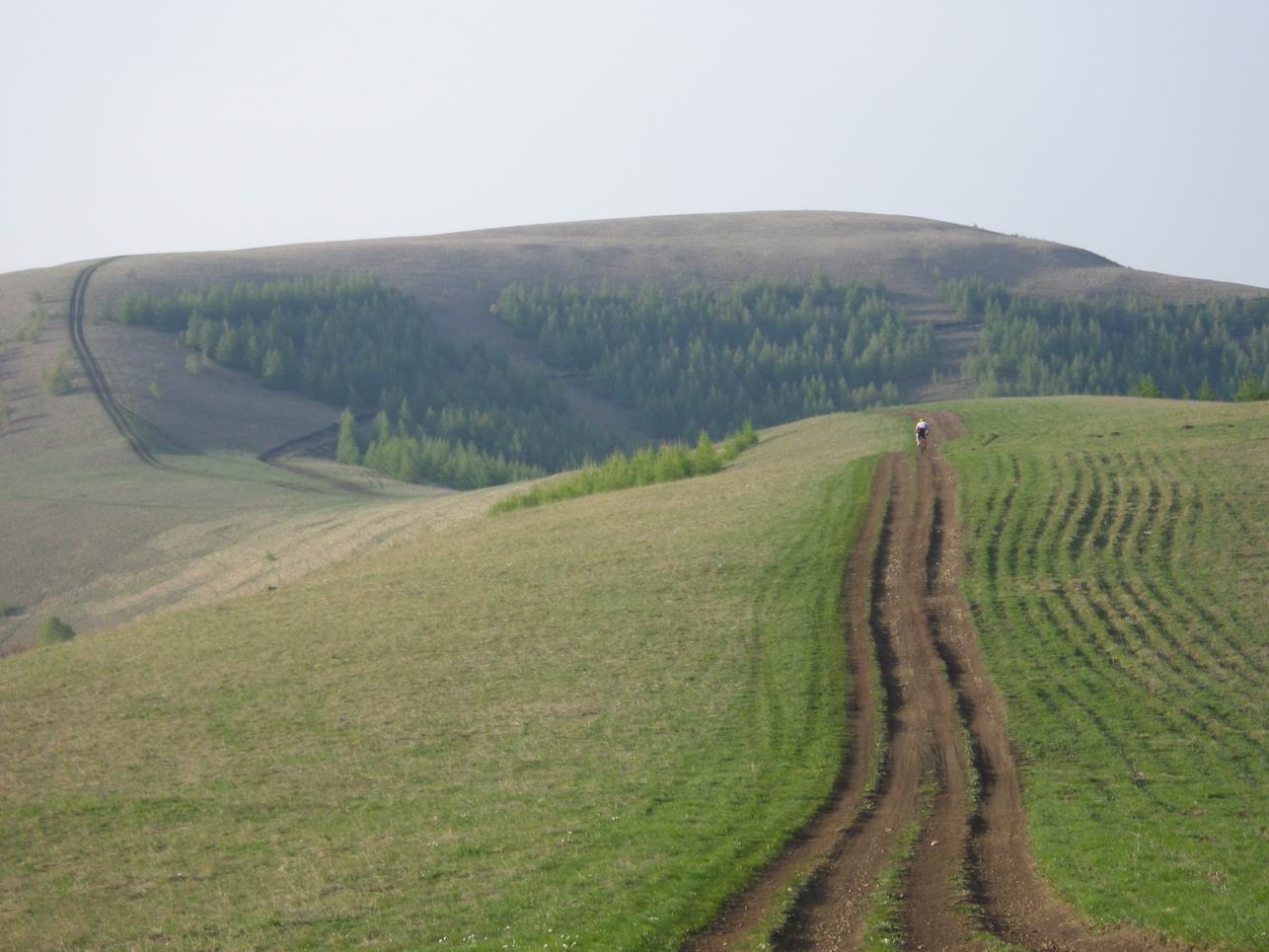 调整大小 IMGP0678.JPG