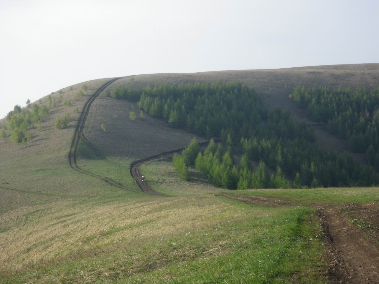 调整大小 IMGP0683.JPG