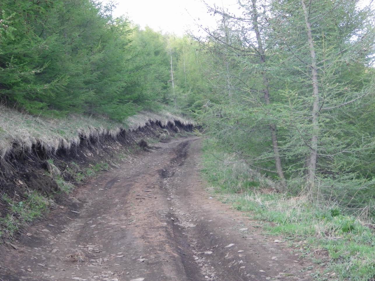 调整大小 IMGP0688.JPG