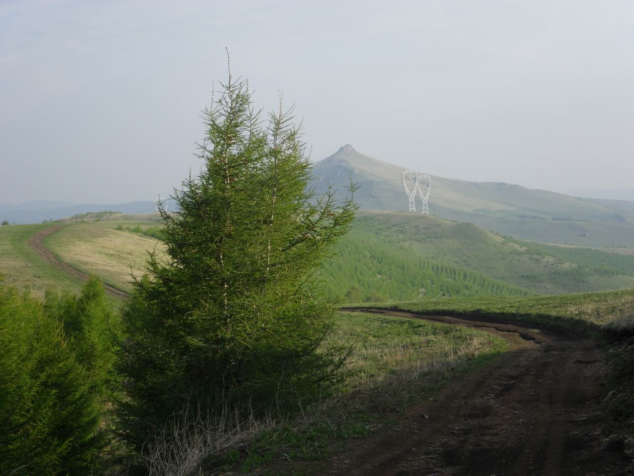 调整大小 IMGP0689.JPG