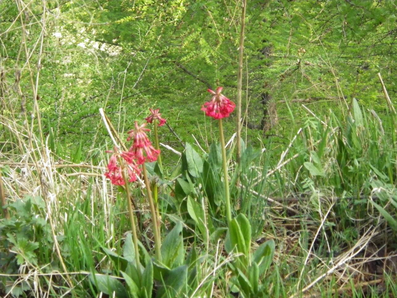 调整大小 IMGP0703.JPG