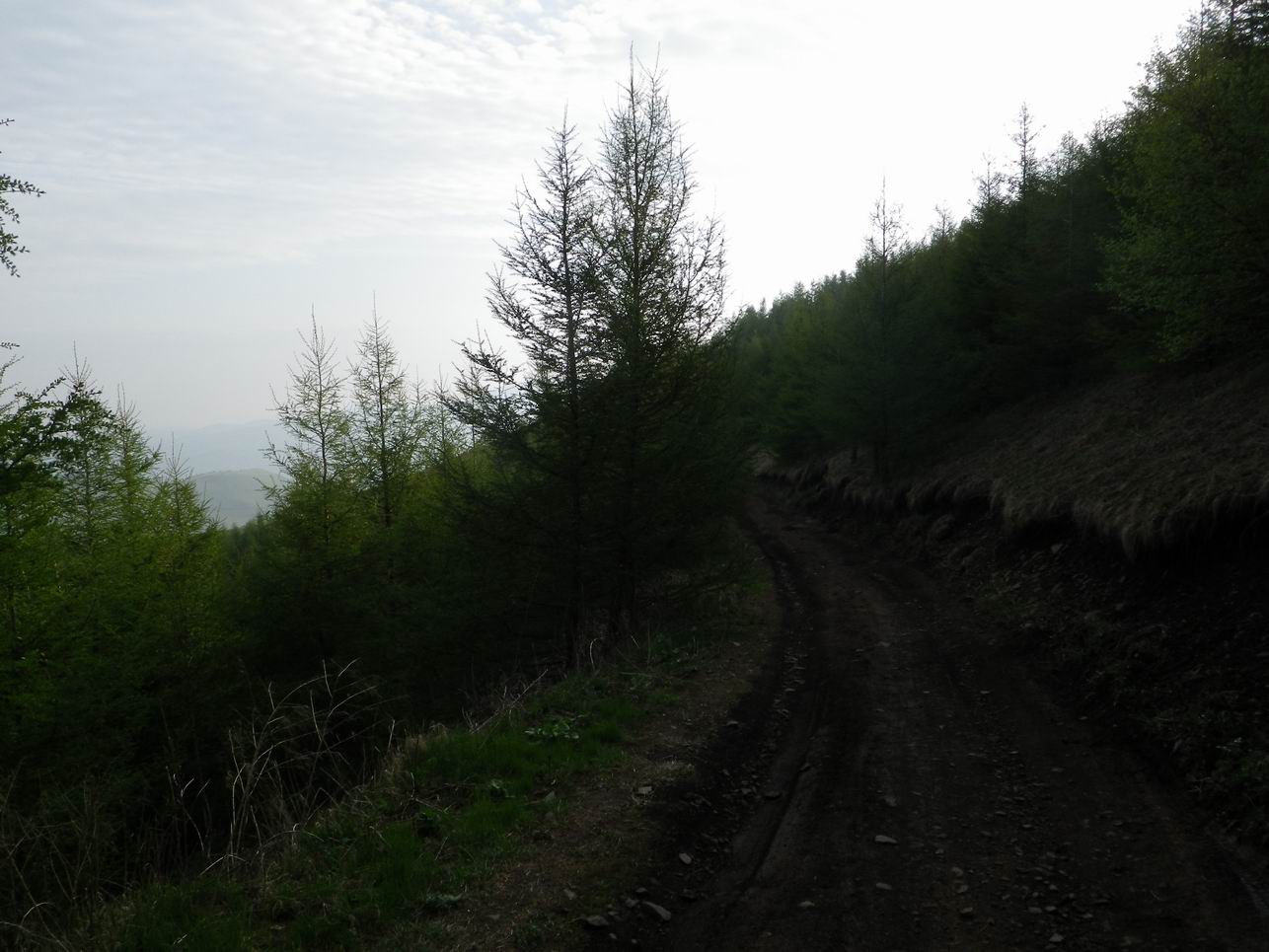 调整大小 IMGP0704.JPG