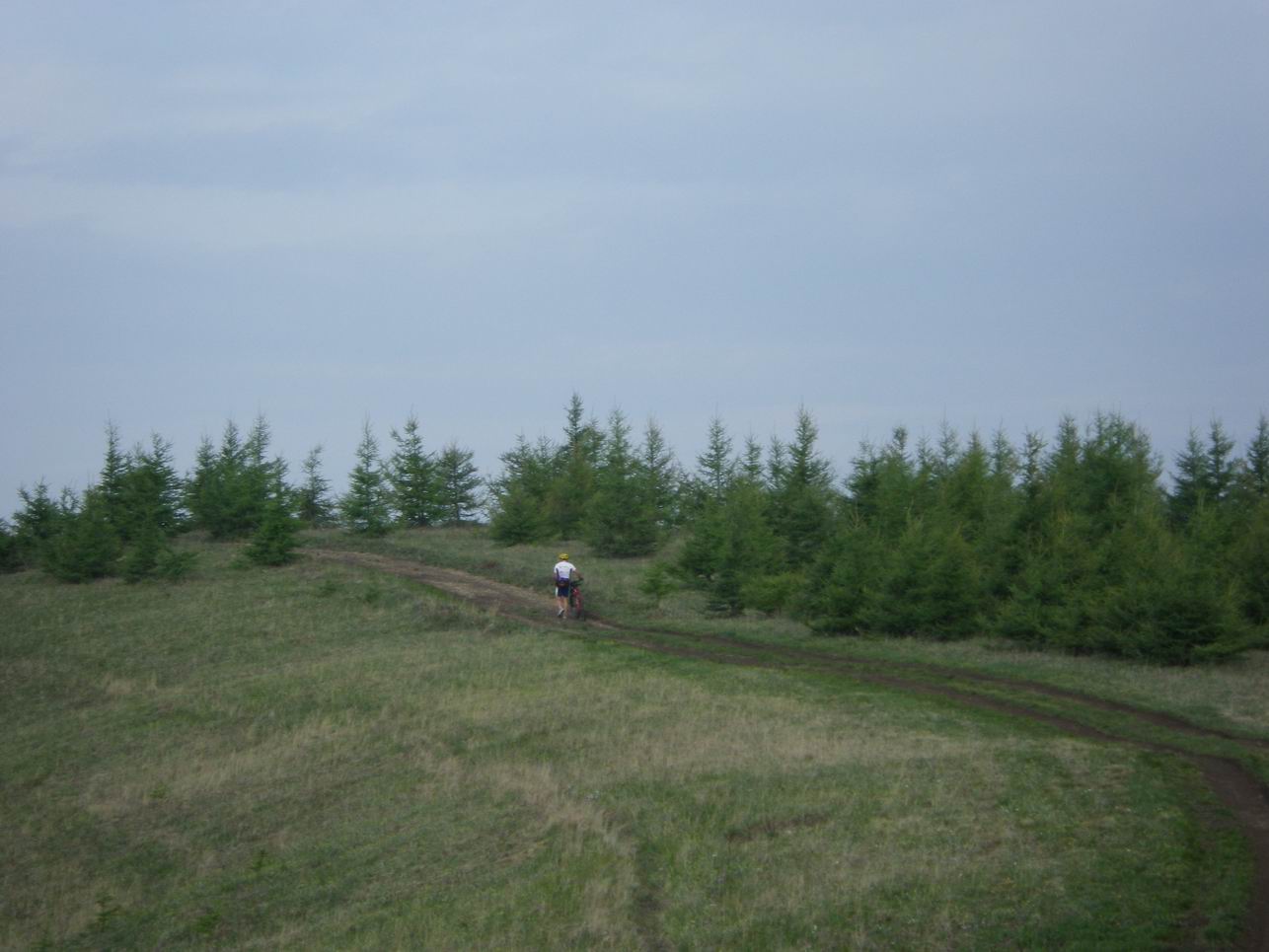 调整大小 IMGP0708.JPG