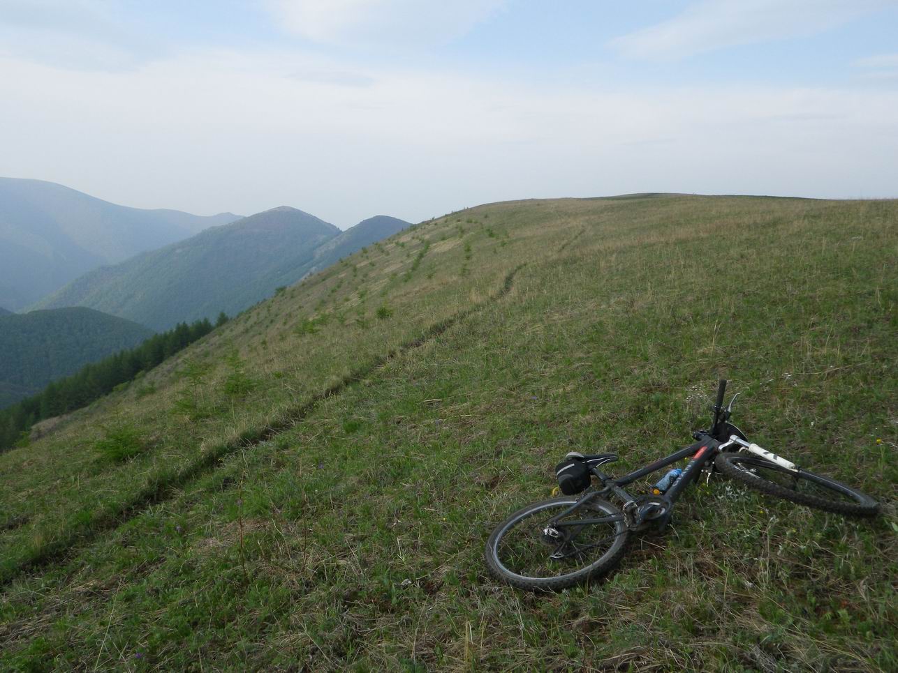 调整大小 IMGP0724.JPG