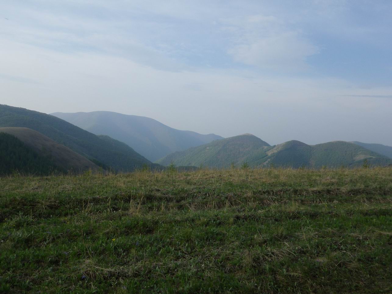 调整大小 IMGP0706.JPG