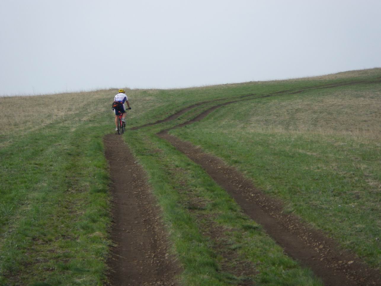 调整大小 IMGP0728.JPG