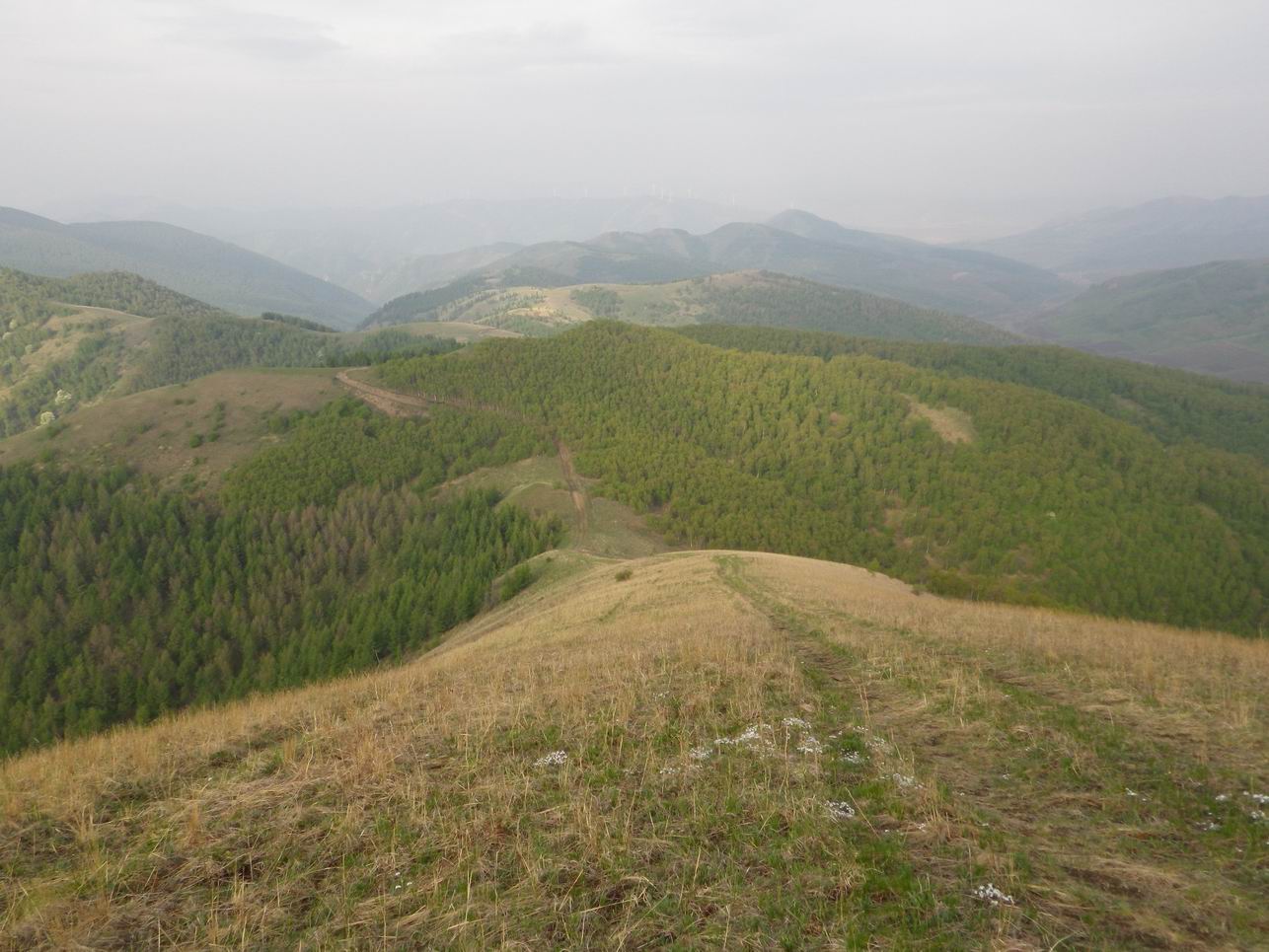 调整大小 IMGP0740.JPG