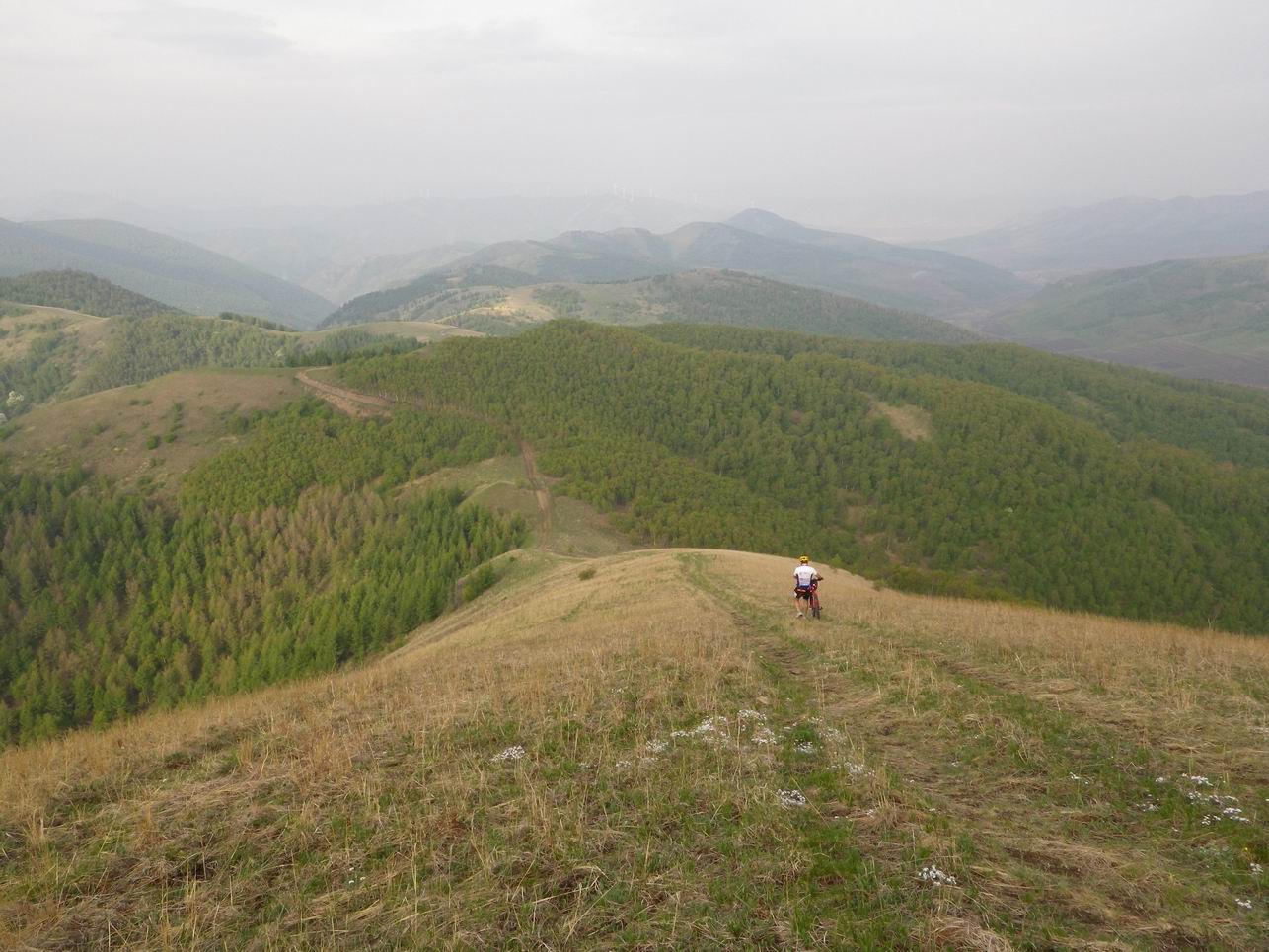 调整大小 IMGP0745.JPG