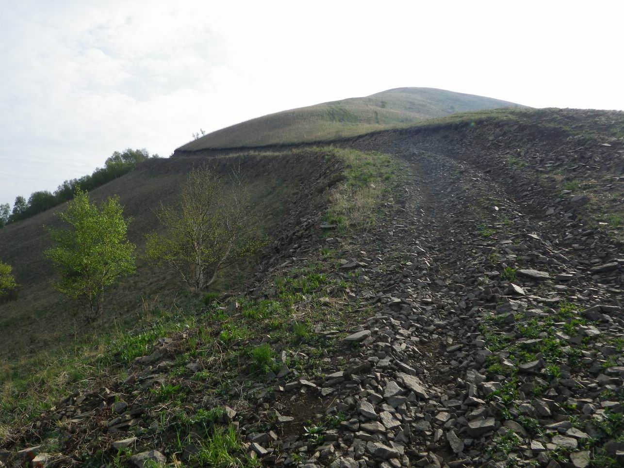 调整大小 IMGP0762.JPG