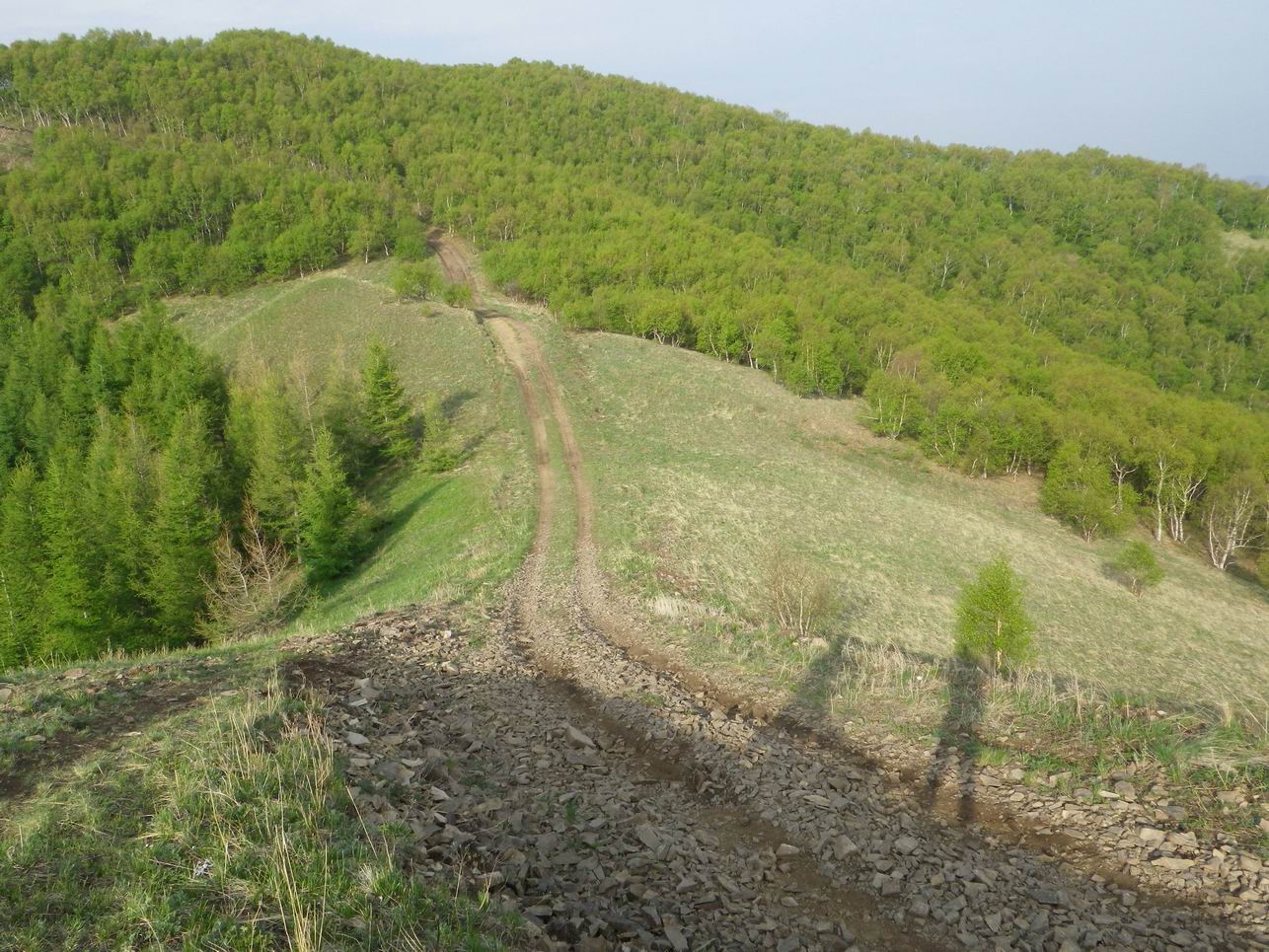 调整大小 IMGP0761.JPG