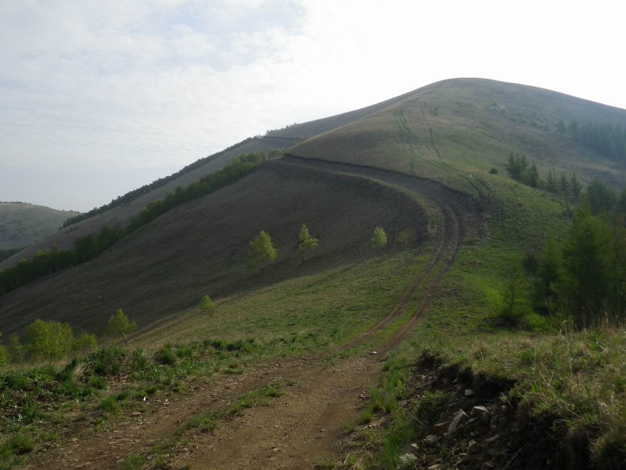 调整大小 IMGP0765.JPG