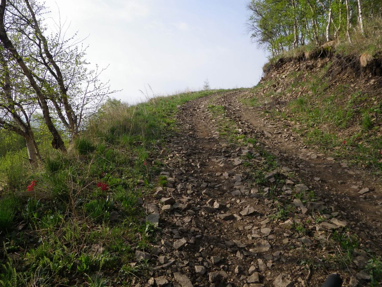 调整大小 IMGP0767.JPG