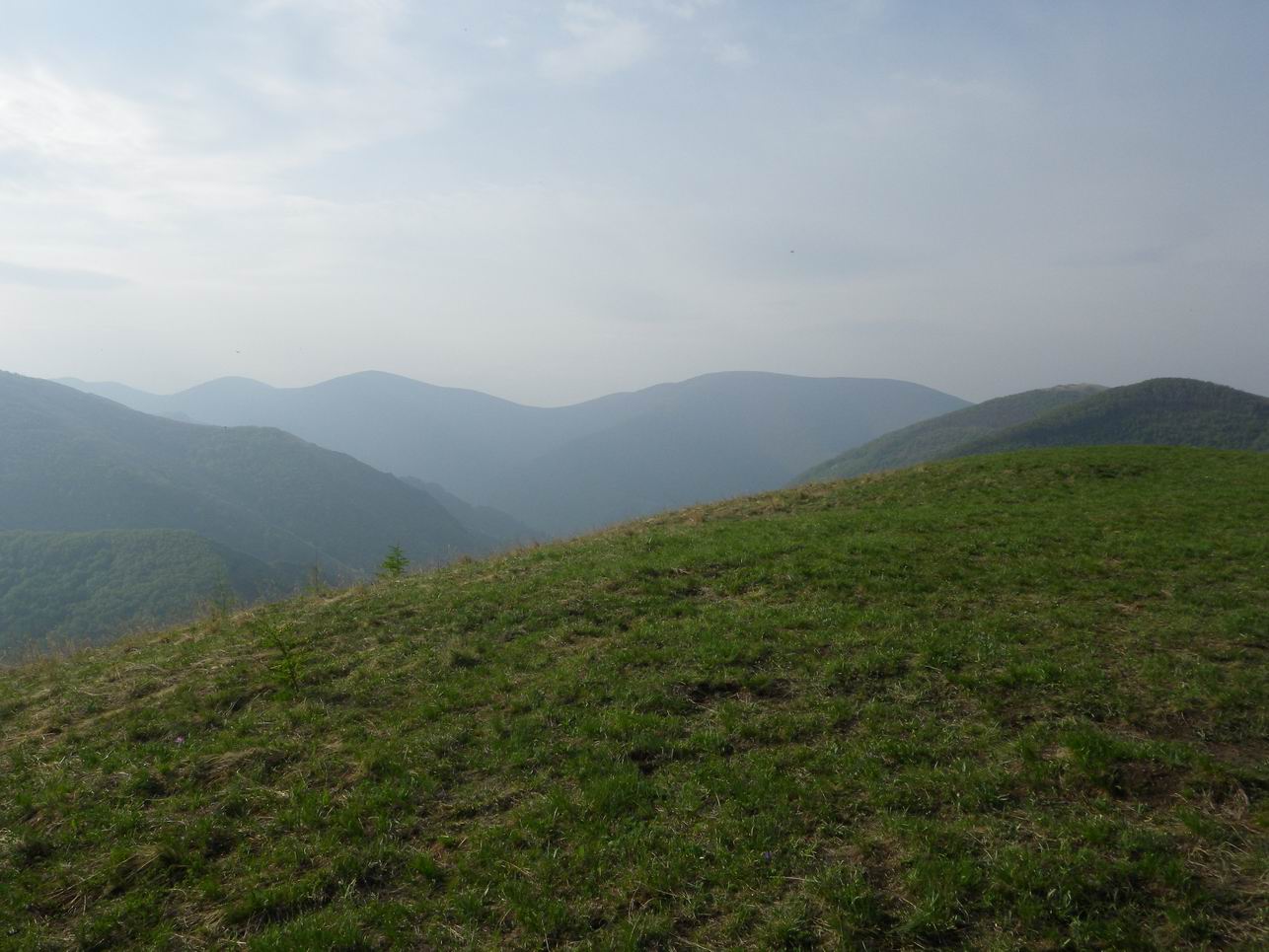 调整大小 IMGP0769.JPG