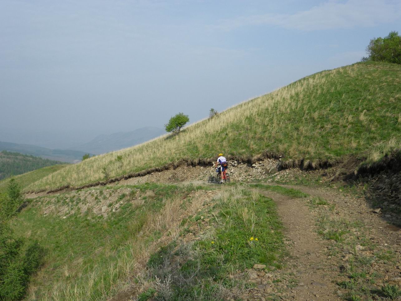 调整大小 IMGP0779.JPG