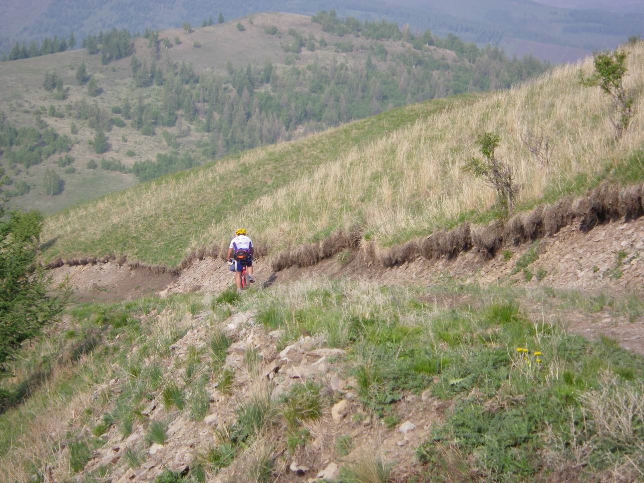 调整大小 IMGP0782.JPG