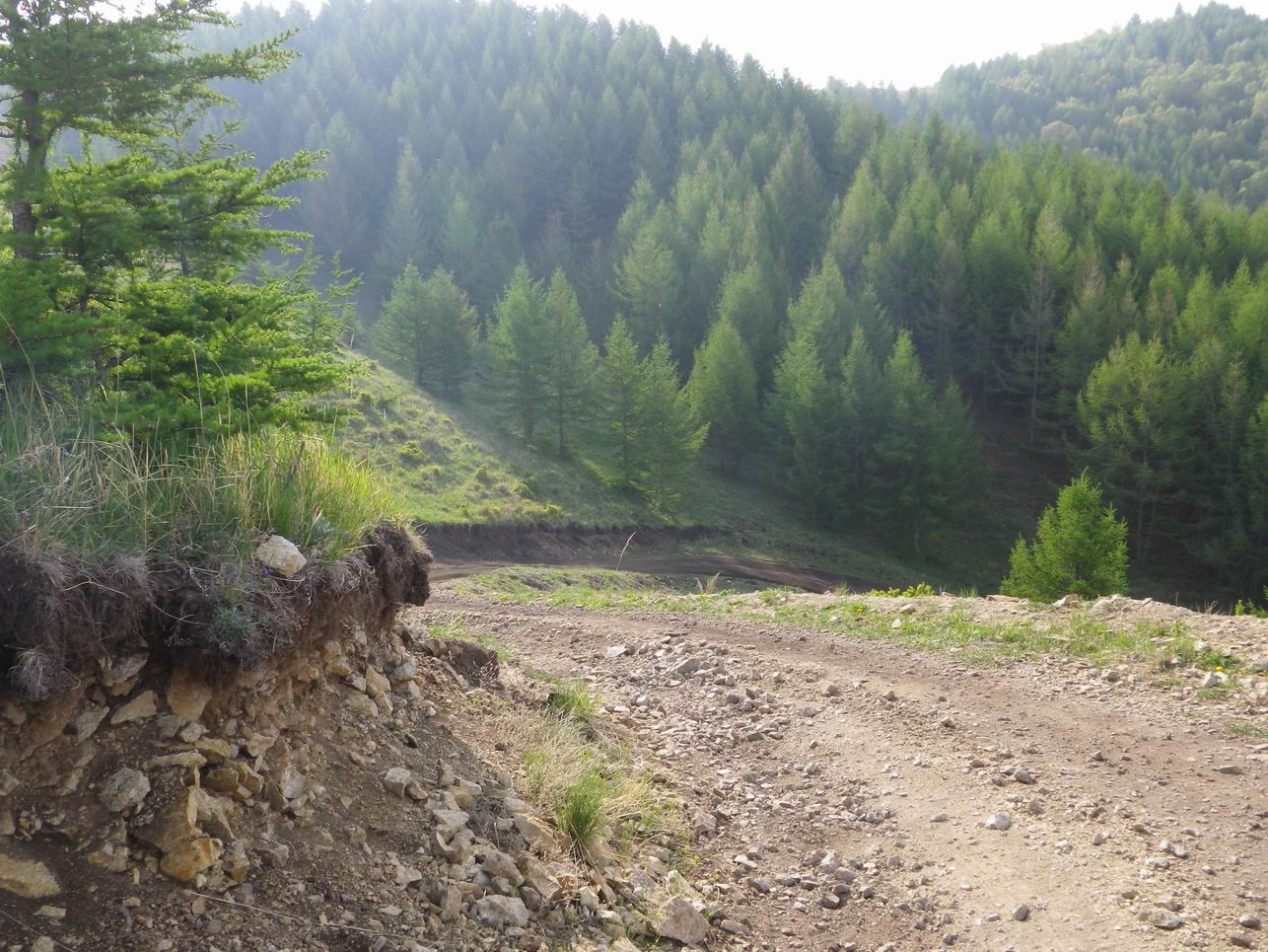 调整大小 IMGP0789.JPG