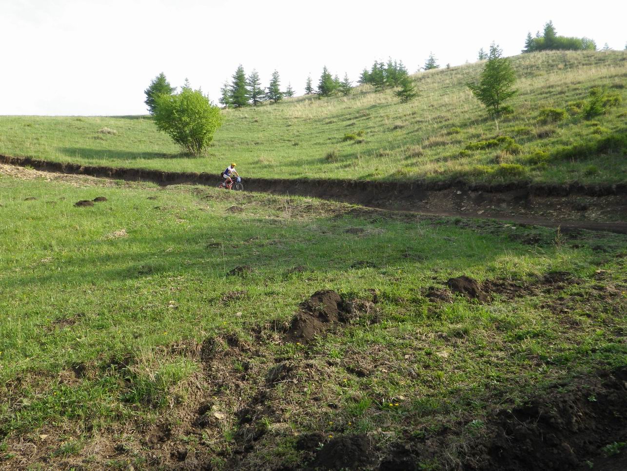 调整大小 IMGP0790.JPG