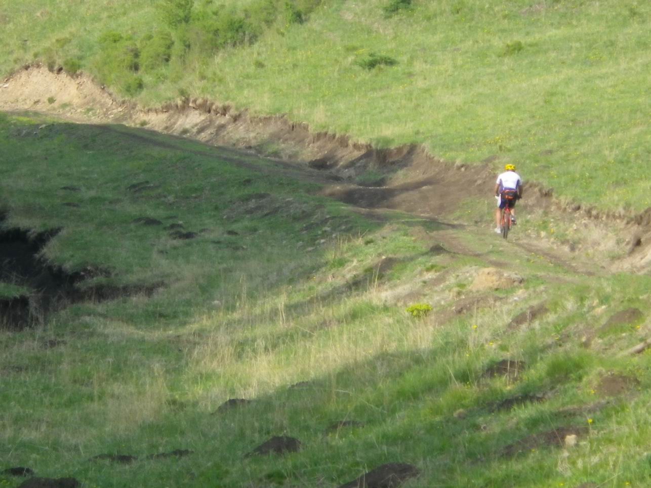 调整大小 IMGP0796.JPG