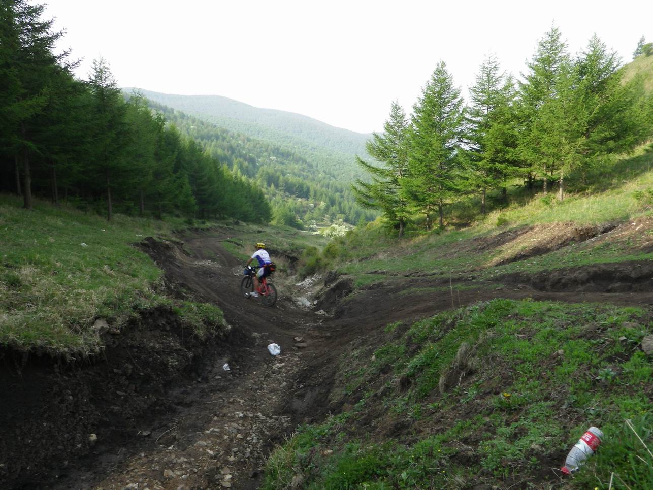 调整大小 IMGP0802.JPG