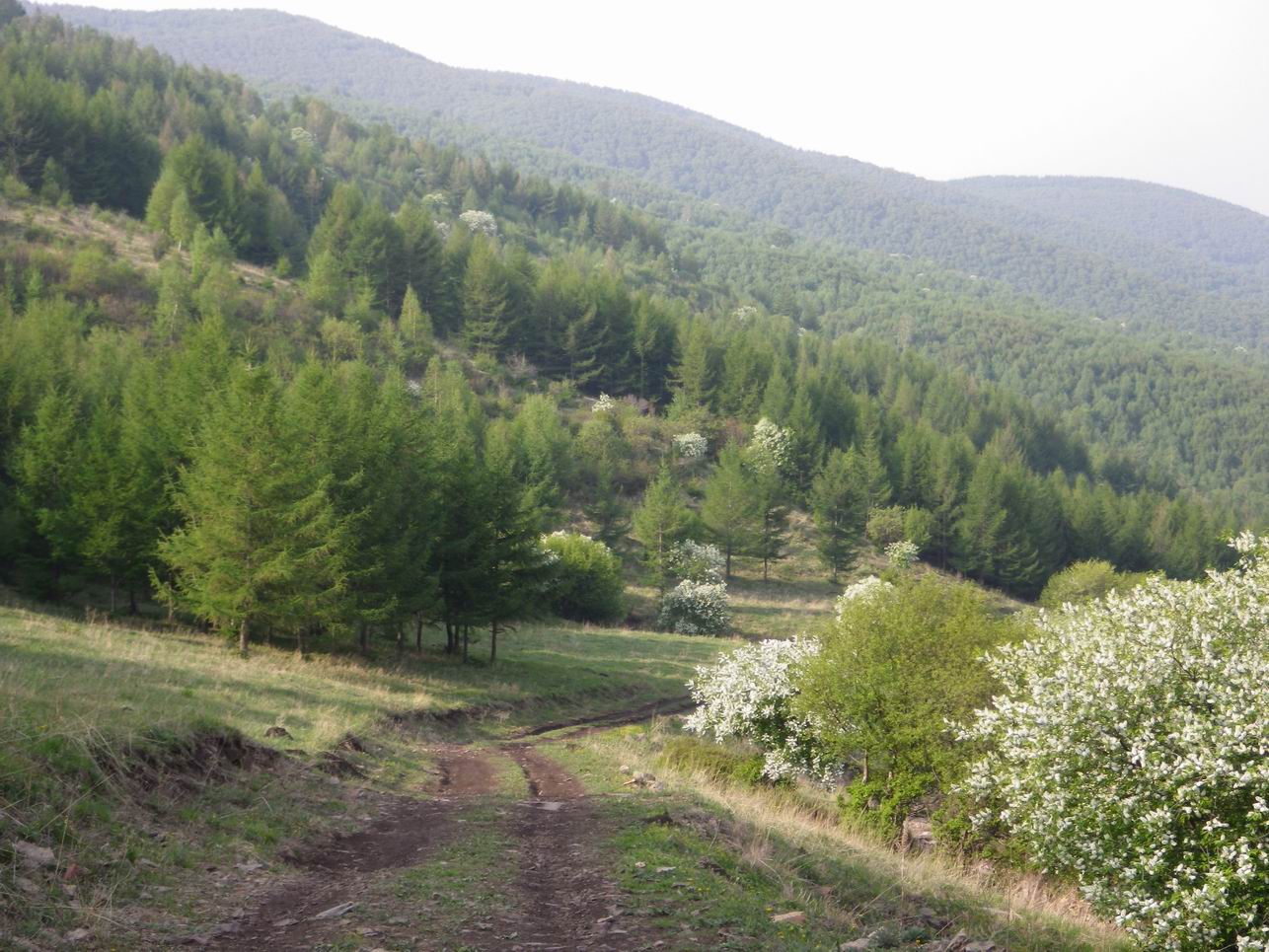 调整大小 IMGP0805.JPG