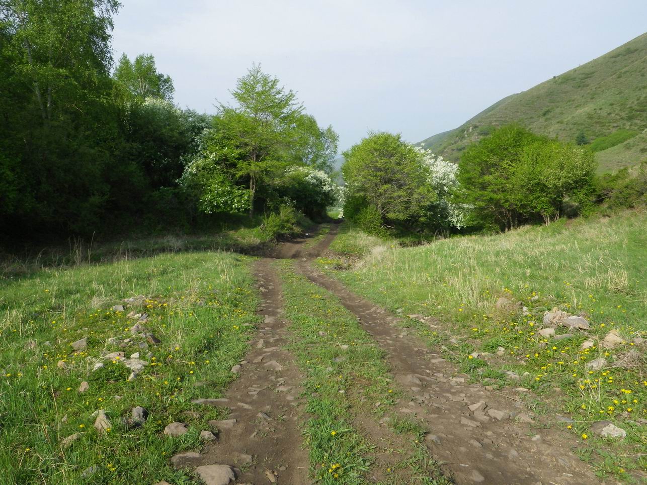 调整大小 IMGP0808.JPG