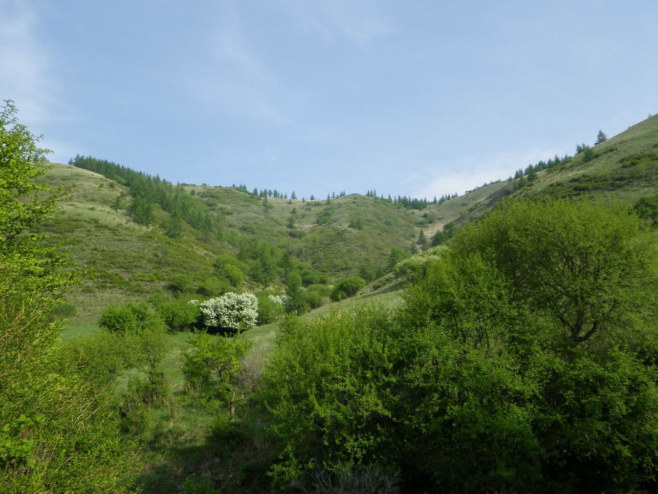 调整大小 IMGP0816.JPG