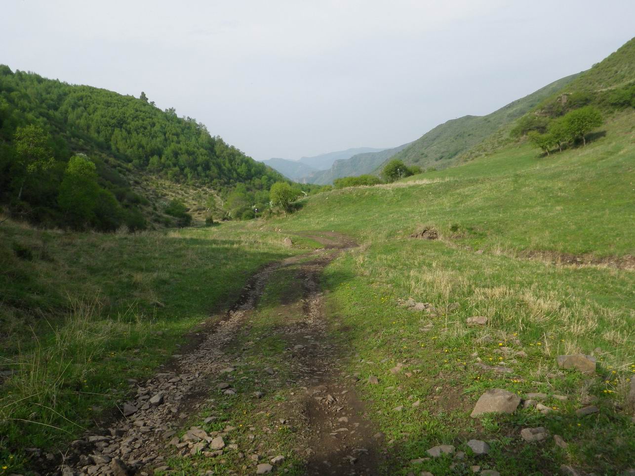 调整大小 IMGP0824.JPG