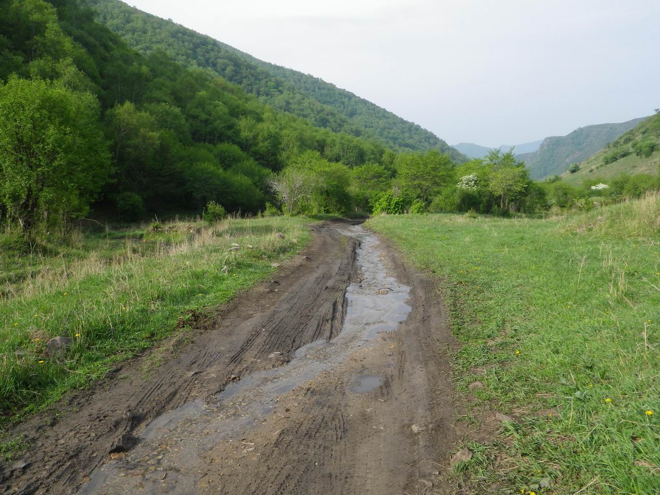 调整大小 IMGP0831.JPG