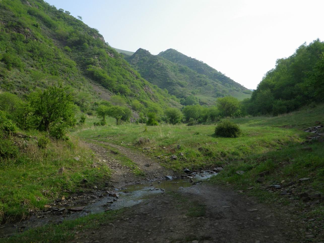 调整大小 IMGP0844.JPG