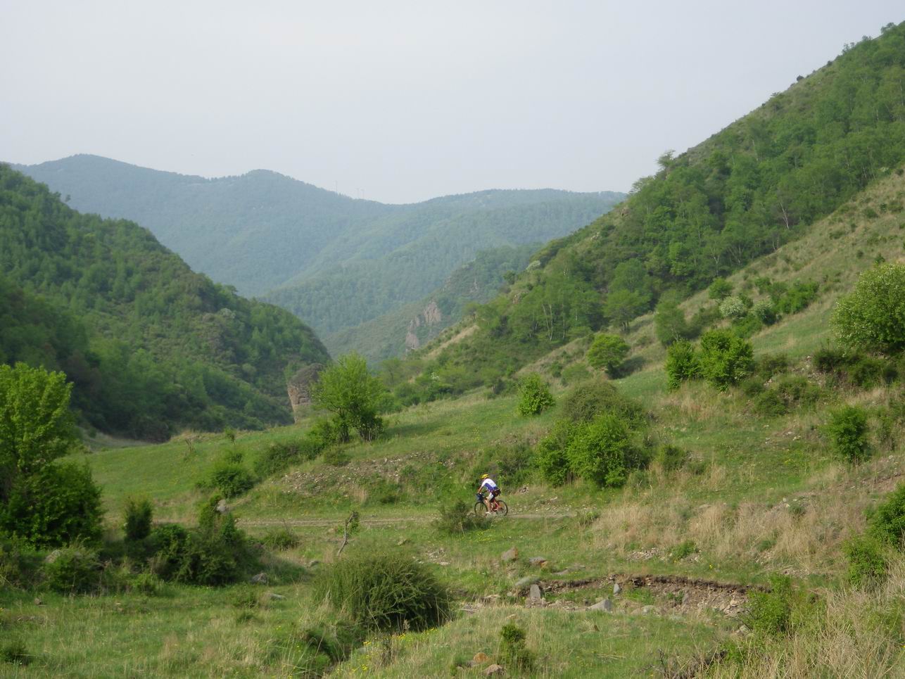 调整大小 IMGP0847.JPG