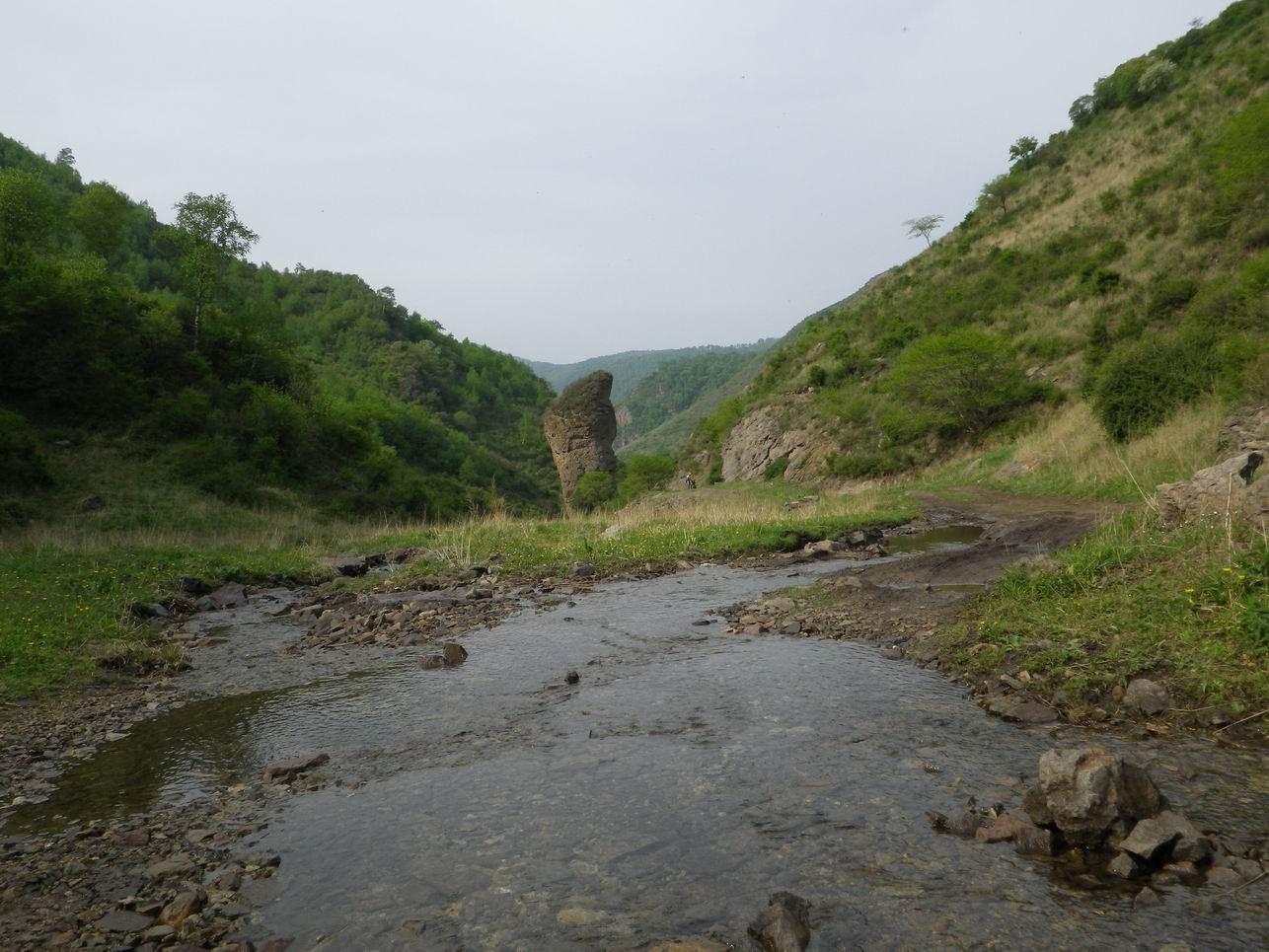 调整大小 IMGP0850.JPG