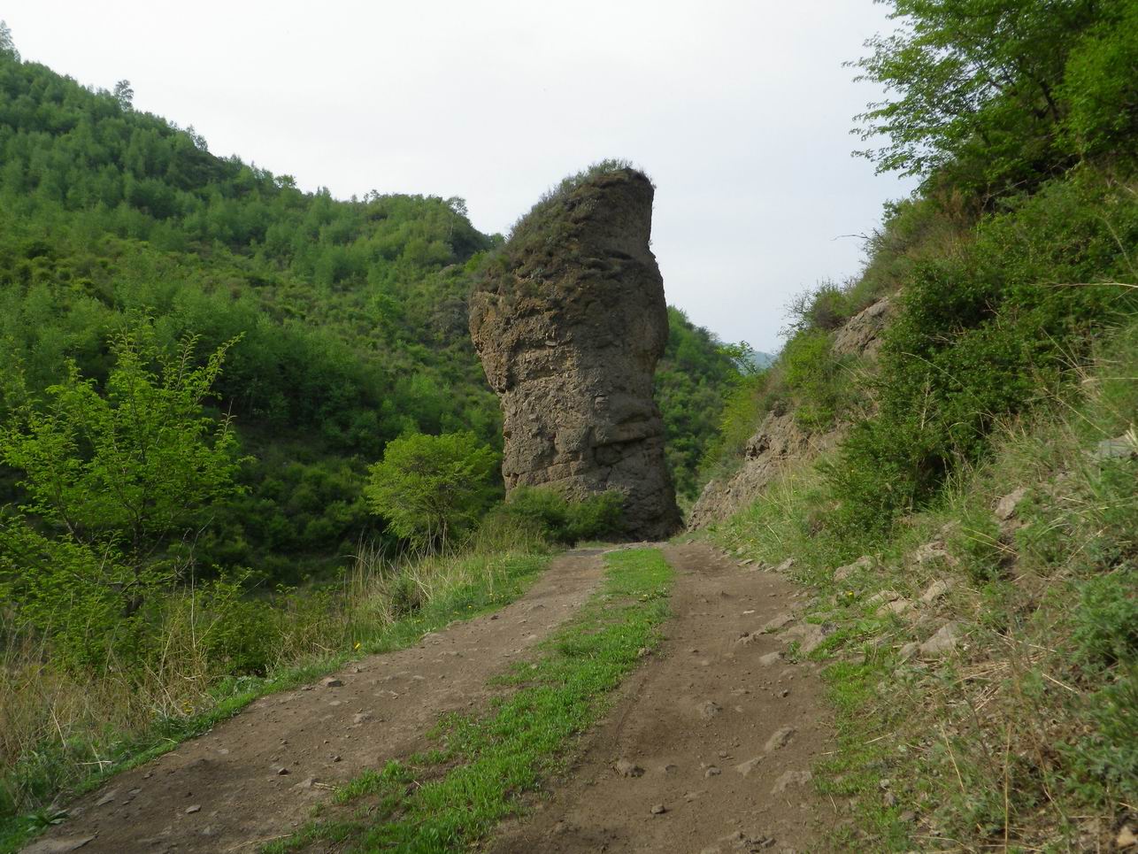 调整大小 IMGP0856.JPG