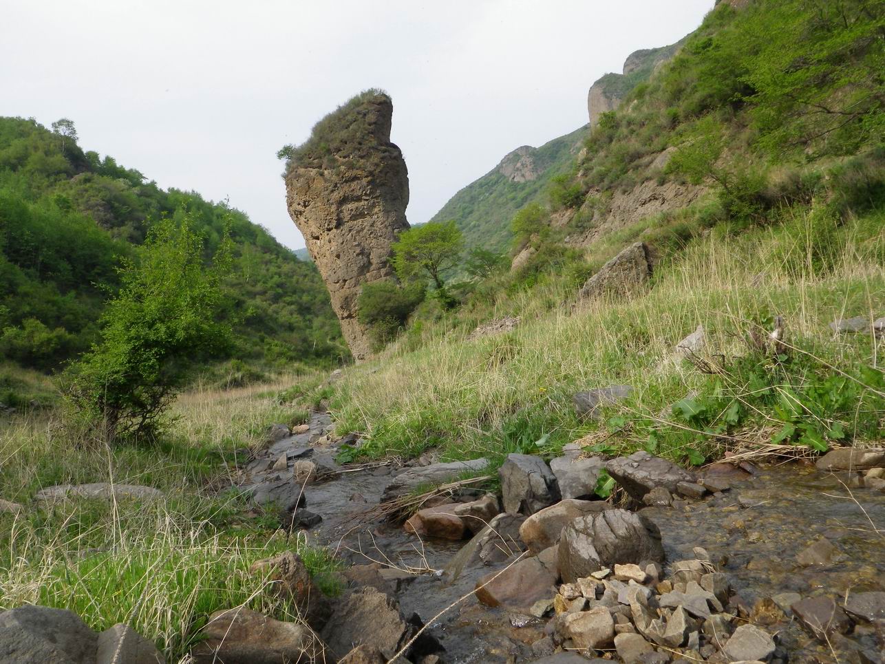 调整大小 IMGP0858.JPG