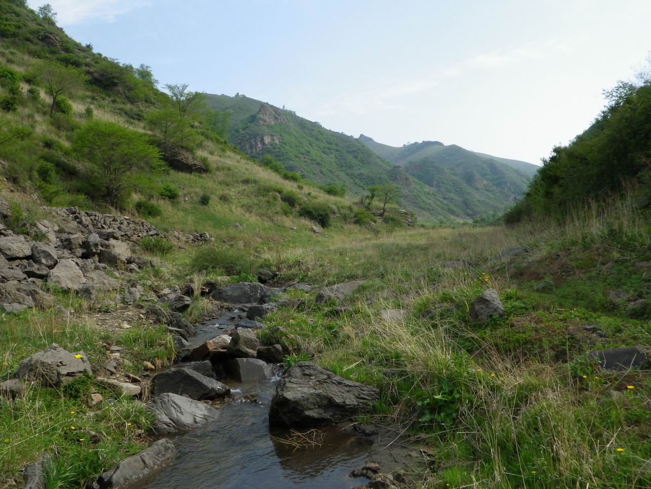 调整大小 IMGP0863.JPG