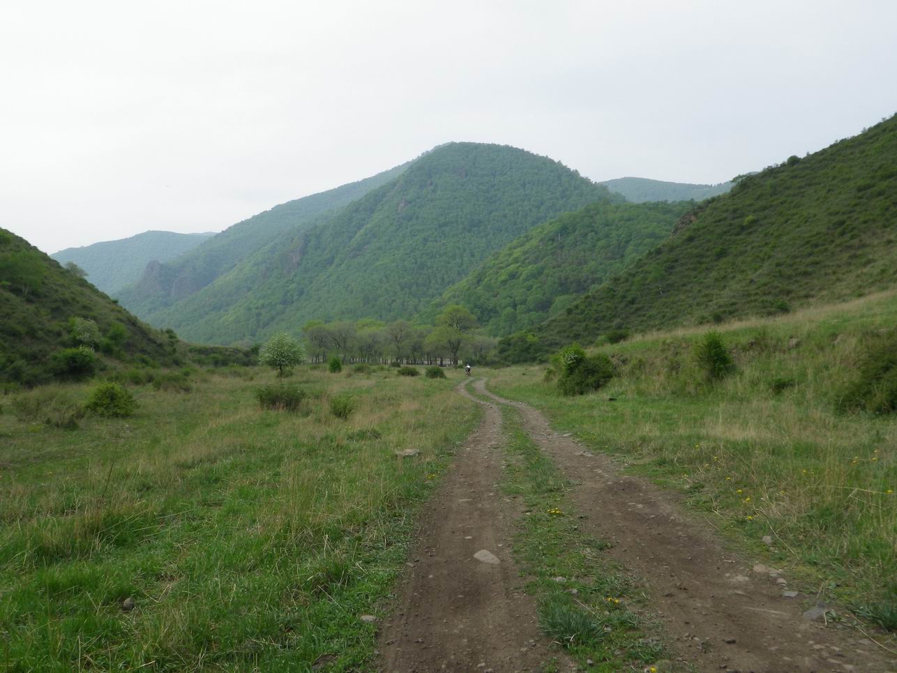 调整大小 IMGP0870.JPG