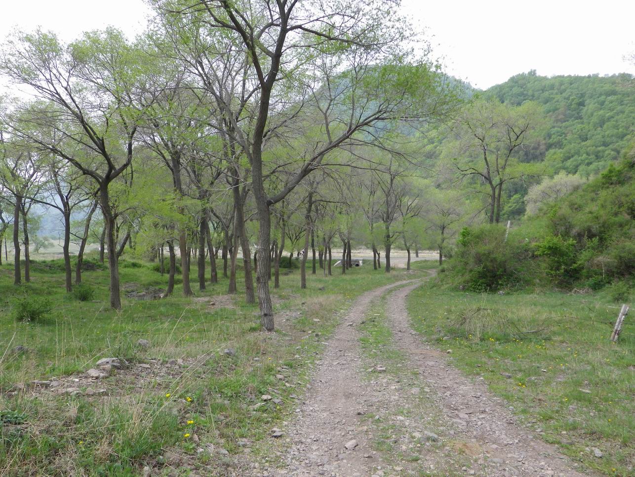 调整大小 IMGP0873.JPG