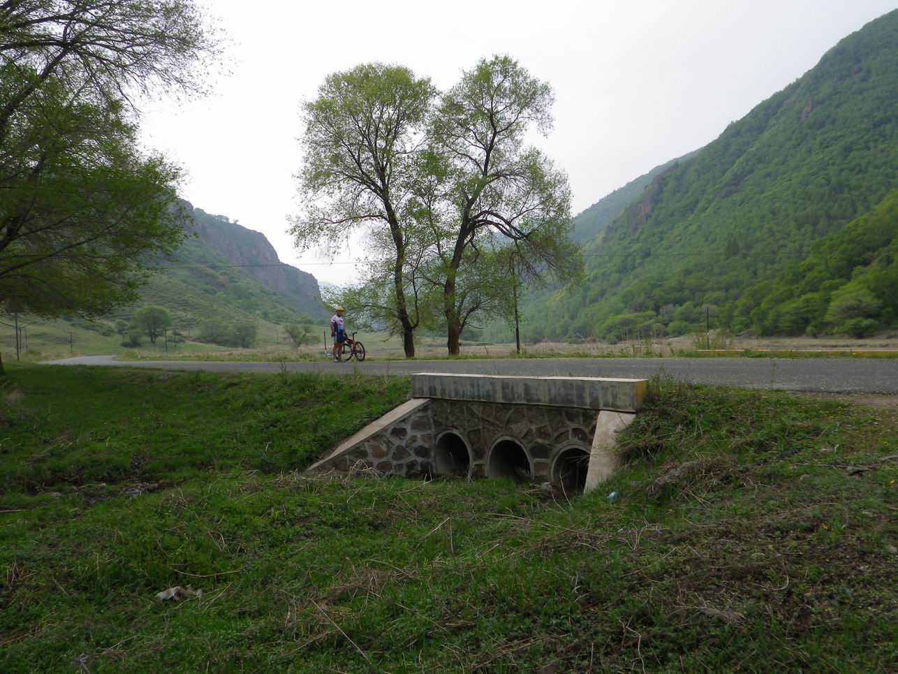 调整大小 IMGP0875.JPG