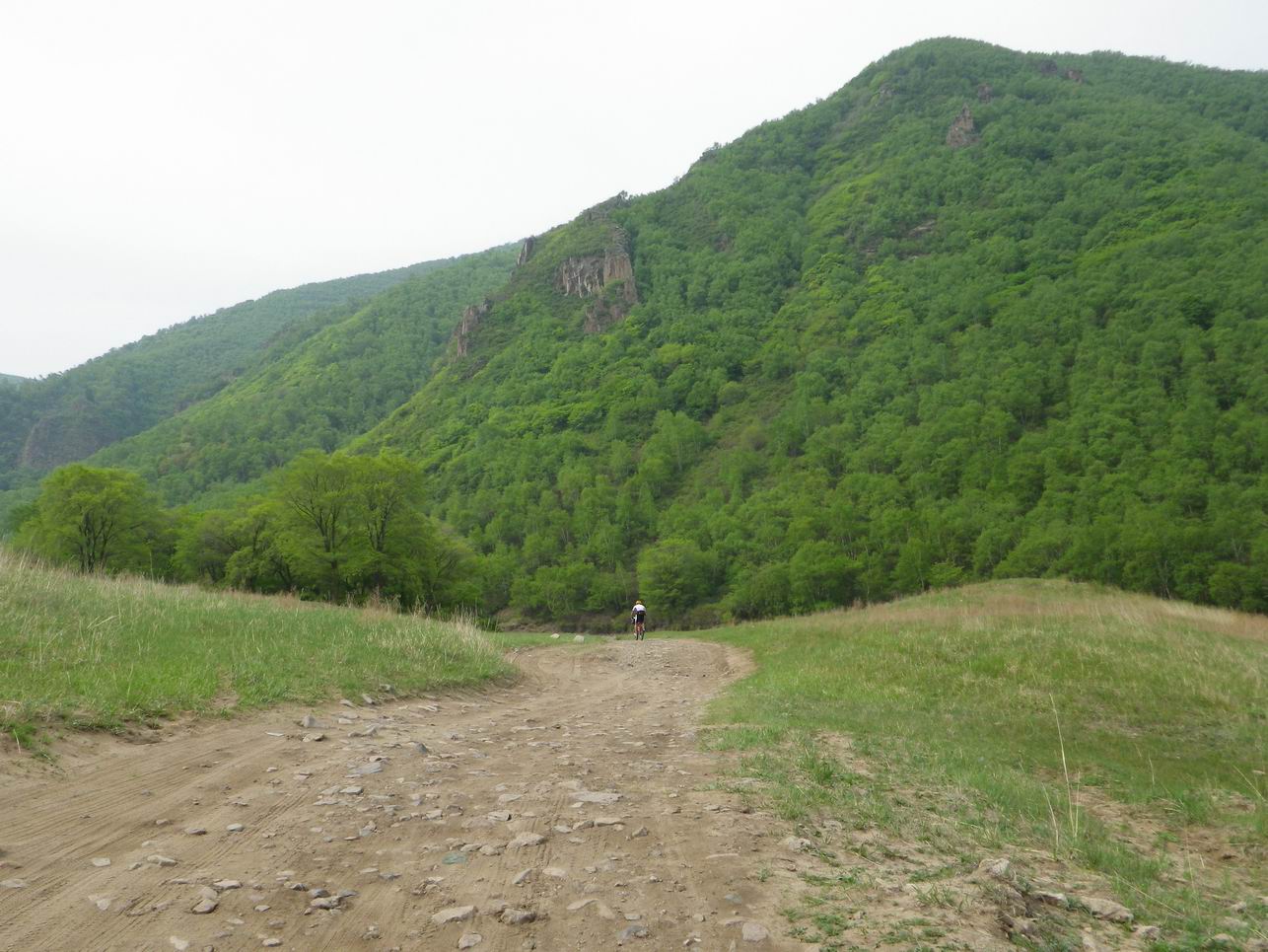 调整大小 IMGP0885.JPG