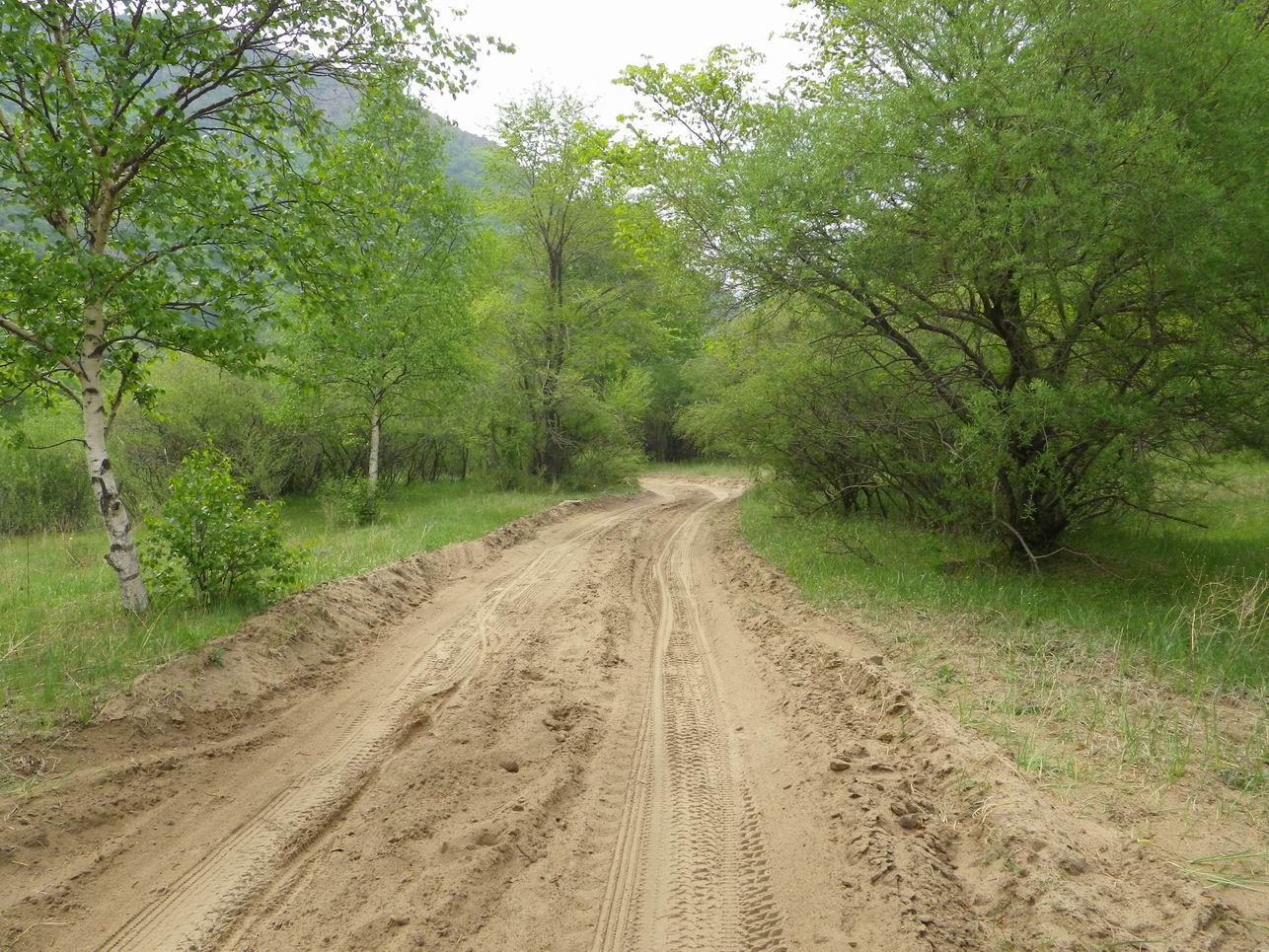 调整大小 IMGP0906.JPG