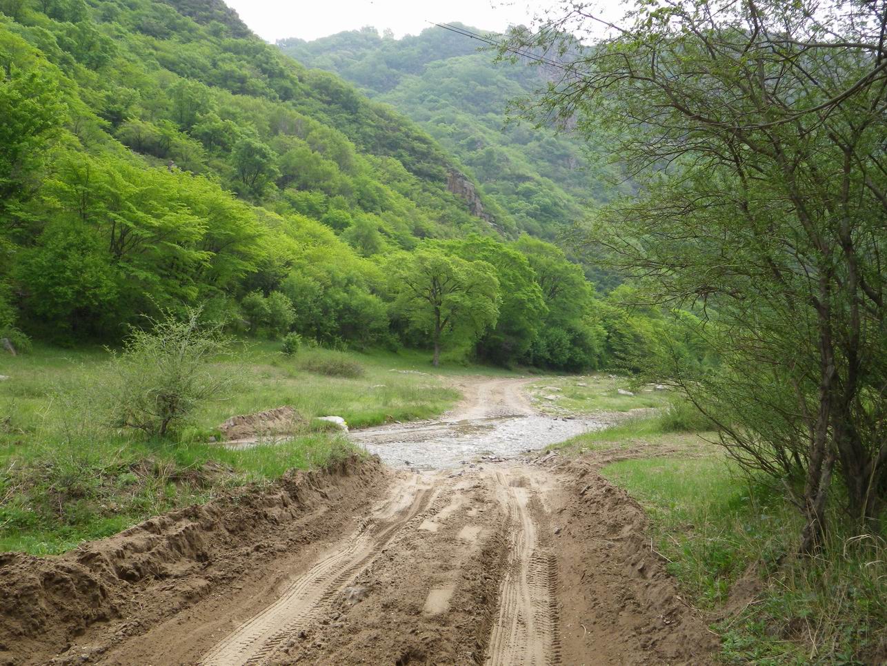 调整大小 IMGP0907.JPG