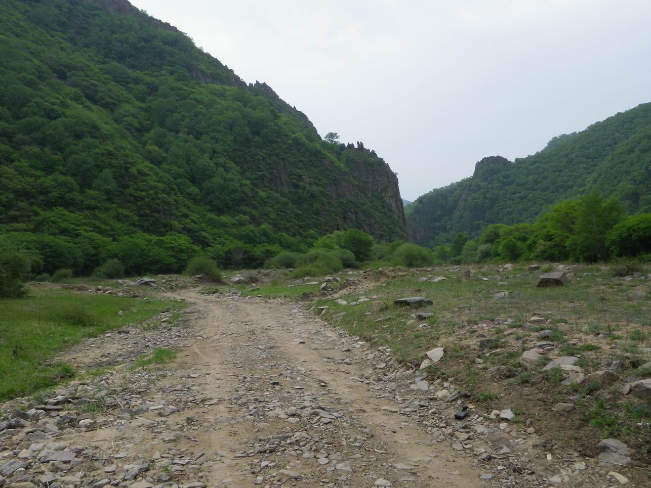 调整大小 IMGP0908.JPG