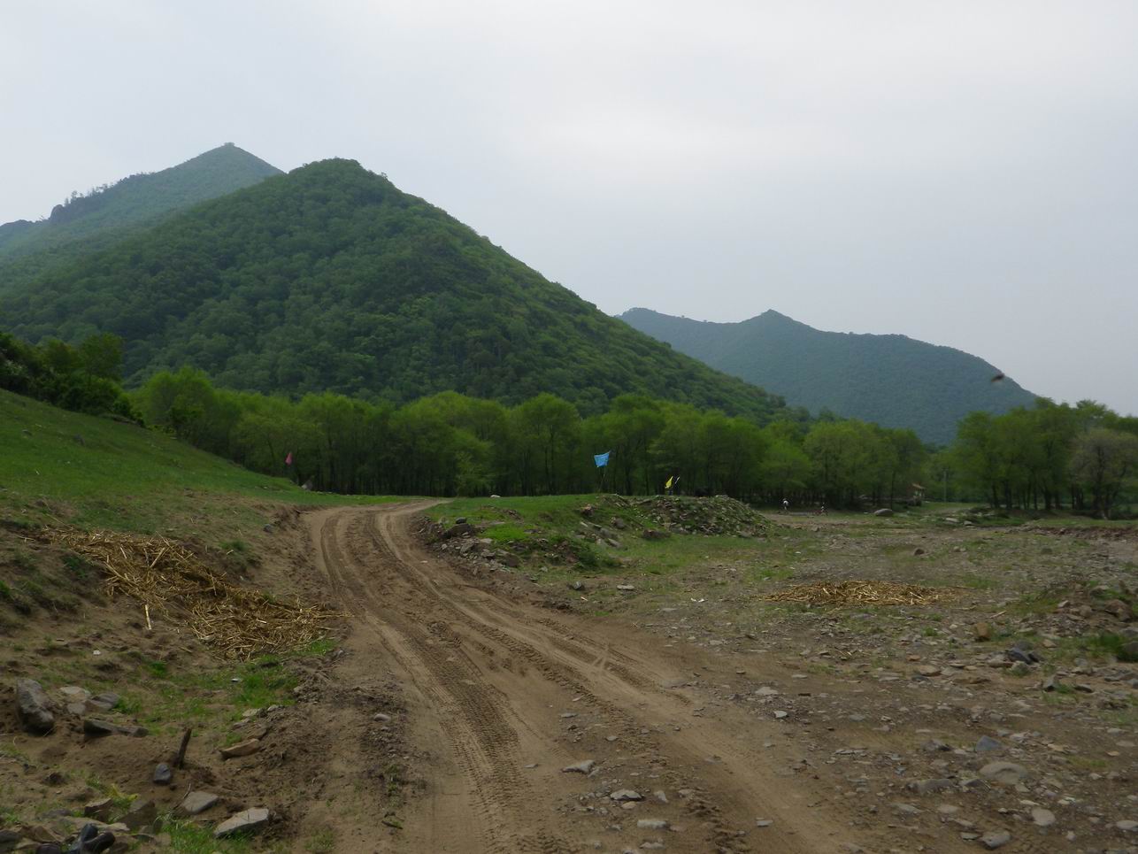 调整大小 IMGP0918.JPG