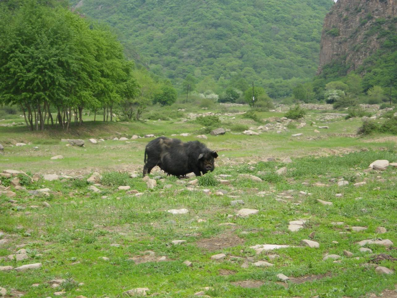 调整大小 IMGP0921.JPG