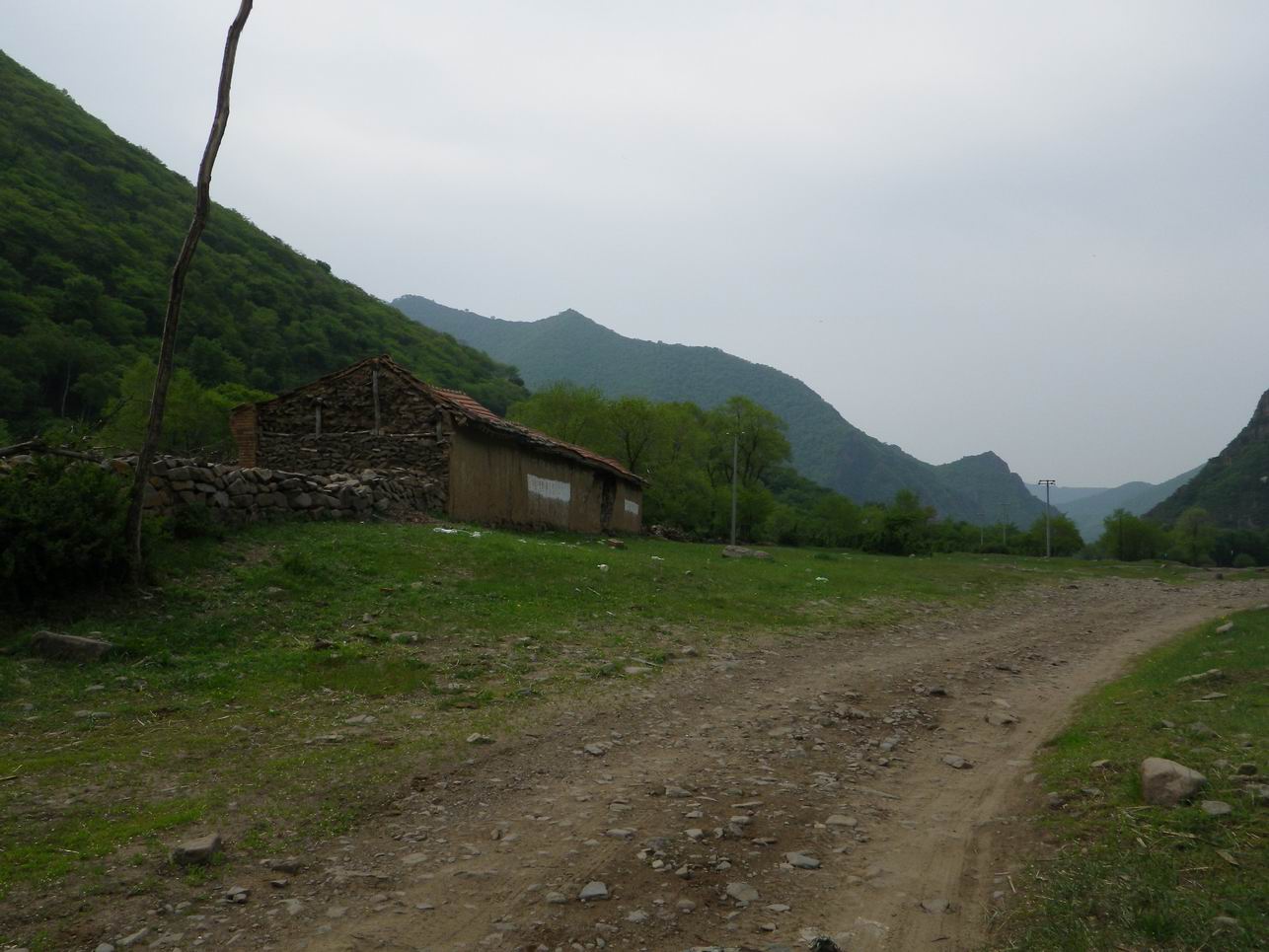 调整大小 IMGP0923.JPG