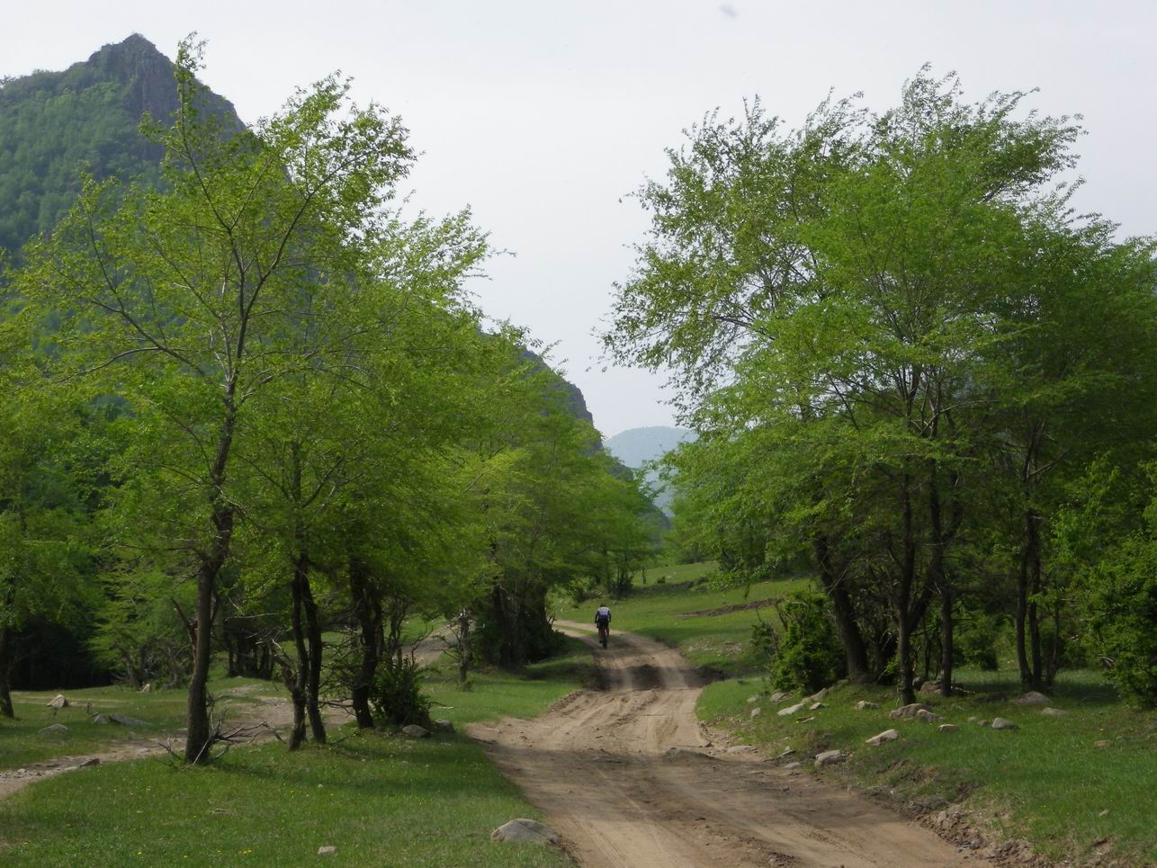 调整大小 IMGP0930.JPG