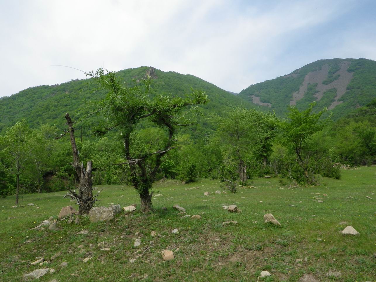 调整大小 IMGP0931.JPG