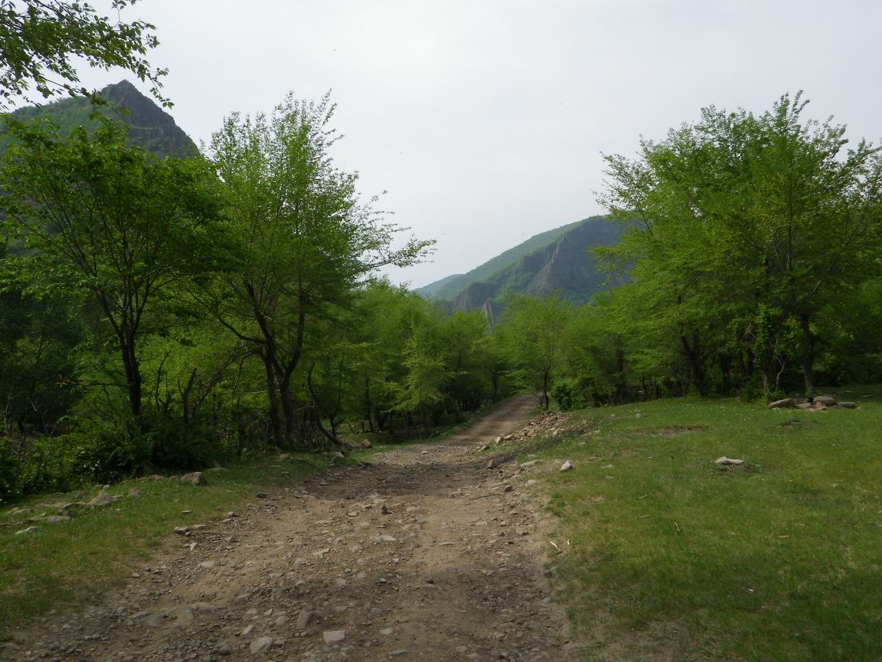 调整大小 IMGP0933.JPG