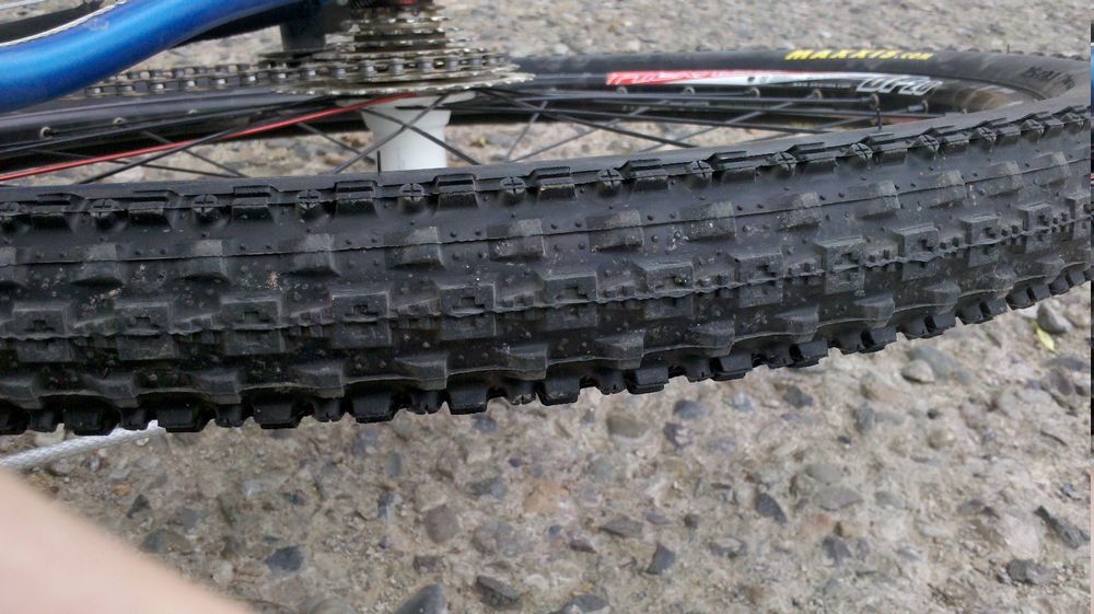 新胎纹 在进果园入口照的 进去后就全是泥巴